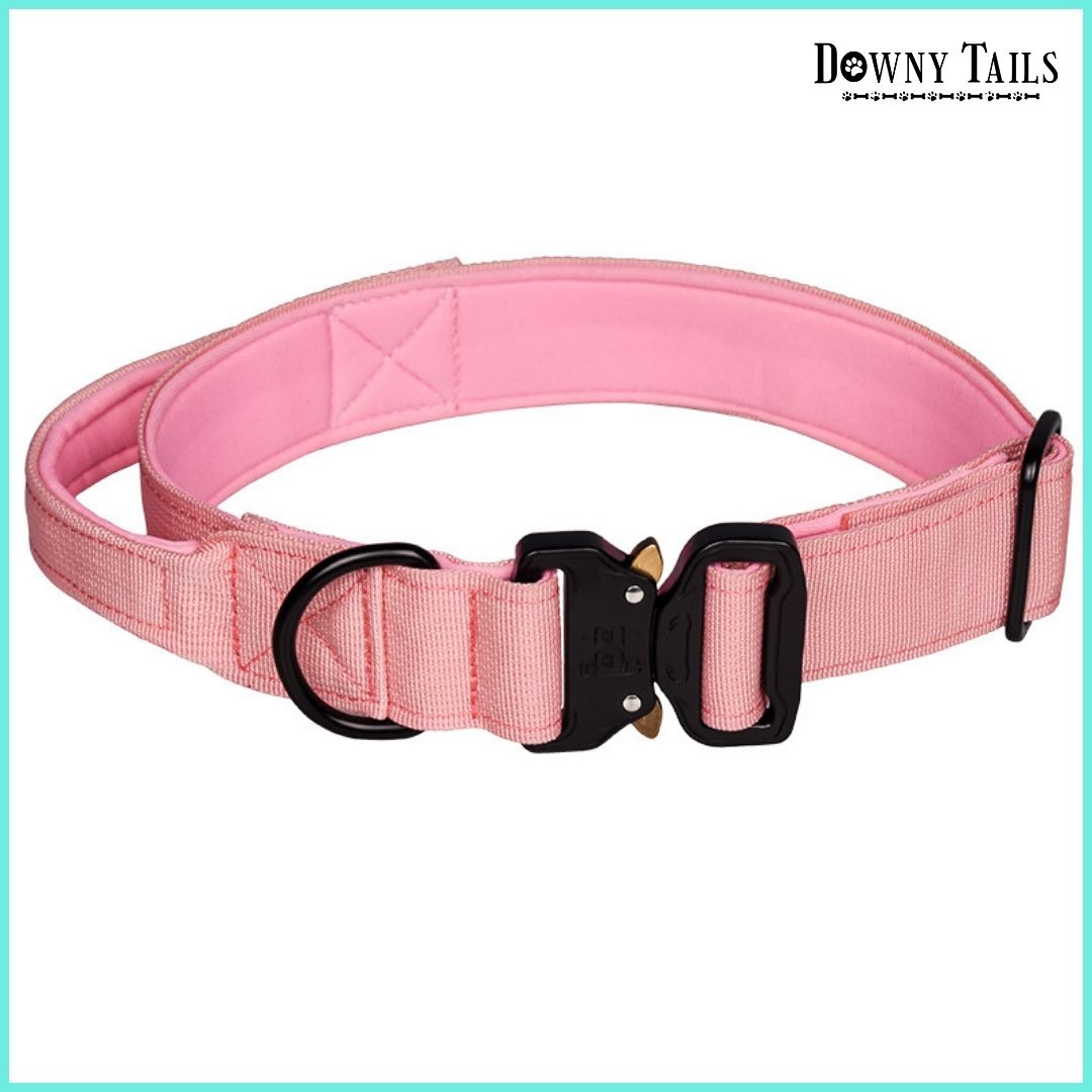 Pet Collar