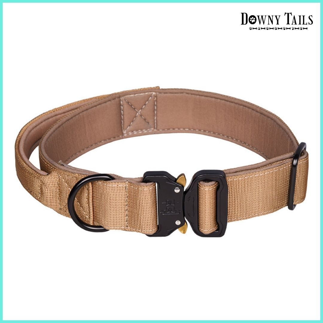 Pet Collar