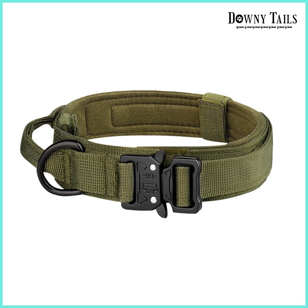 Pet Collar