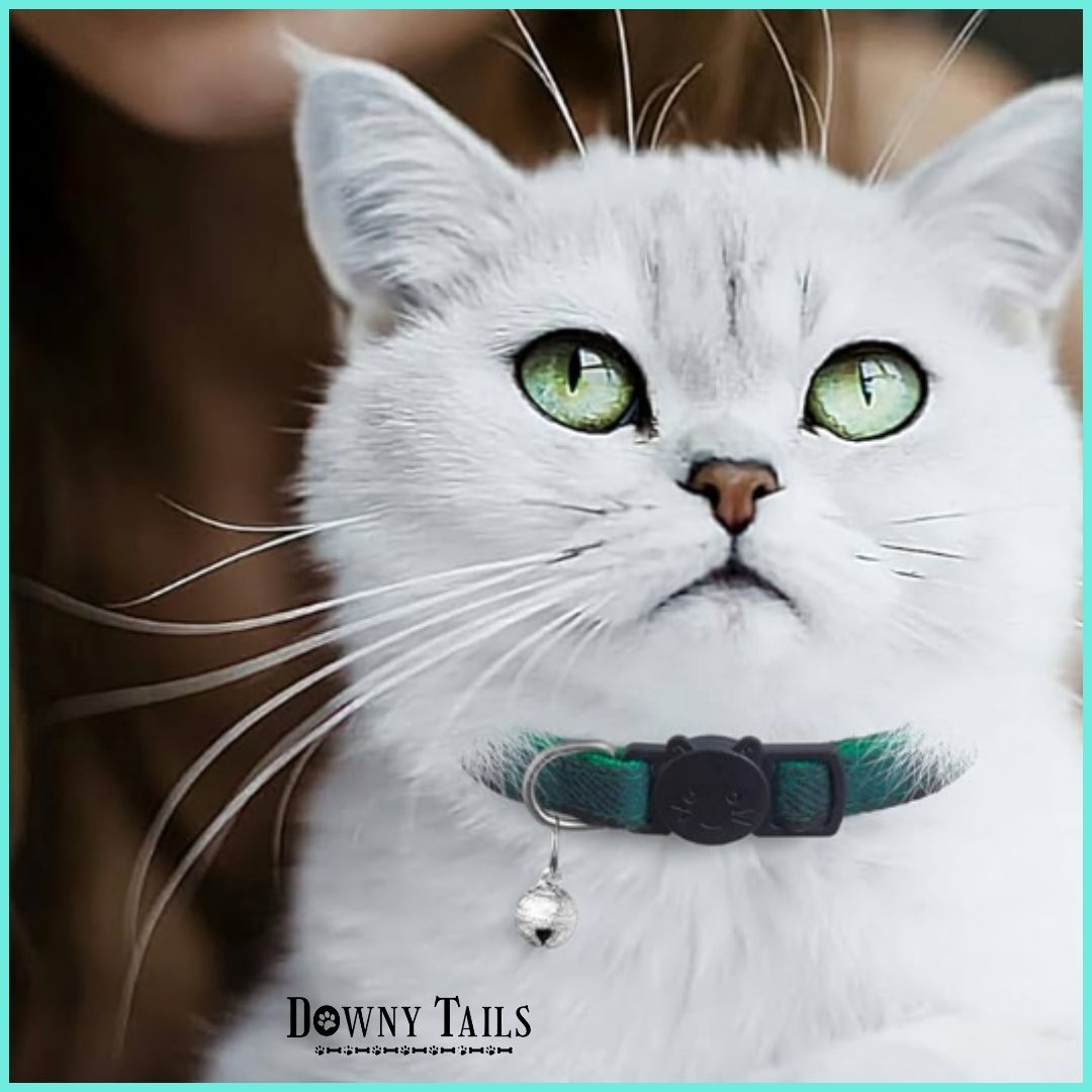 cat collar