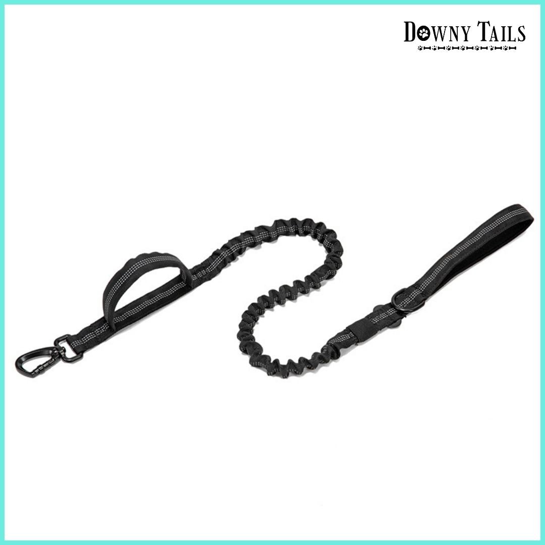  Pet Leash