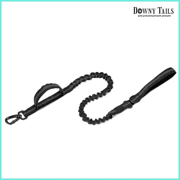  Pet Leash