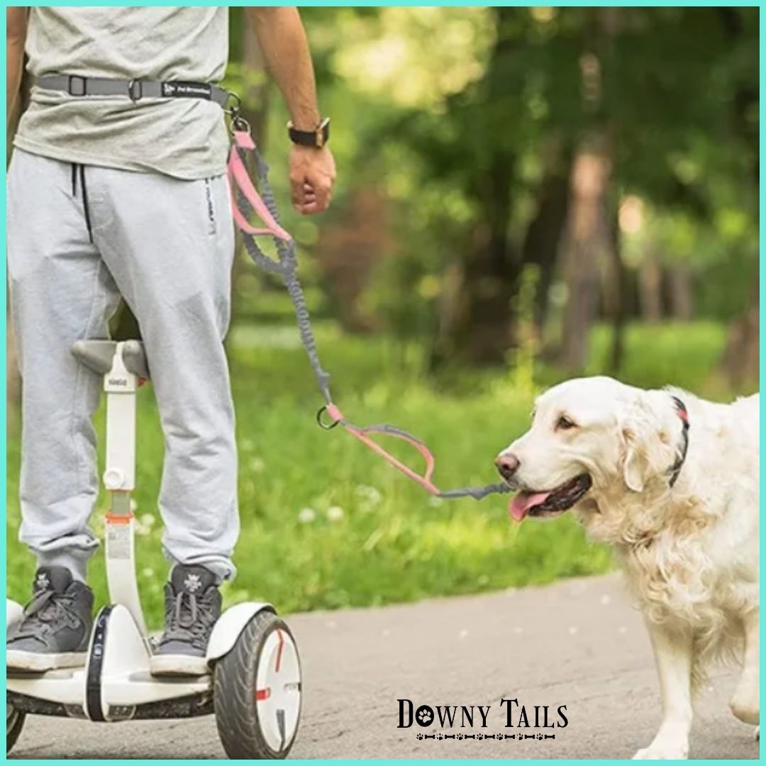 Pet Reflective Leash