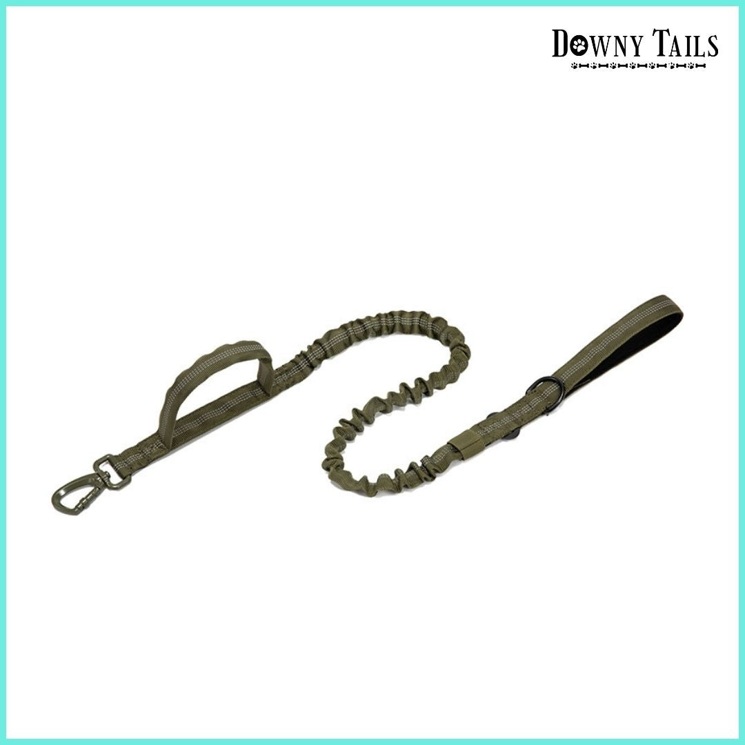 Pet Leash