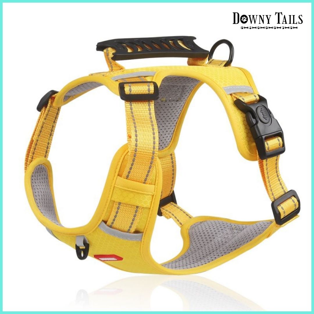 Pet Leash Vest
