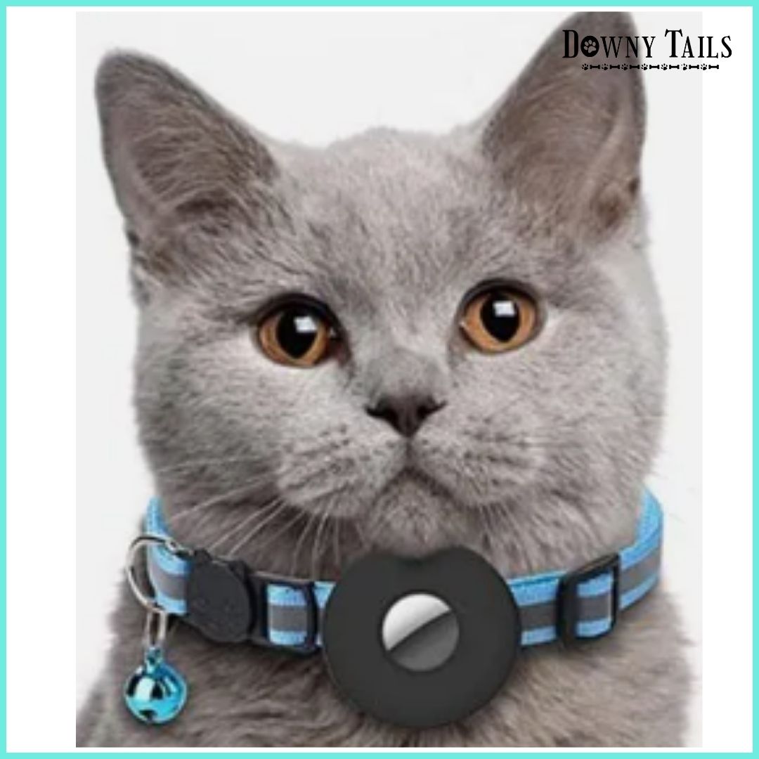 Cat Positioning Collar